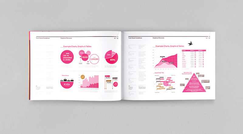Data Viz Brand Guidelines Examples