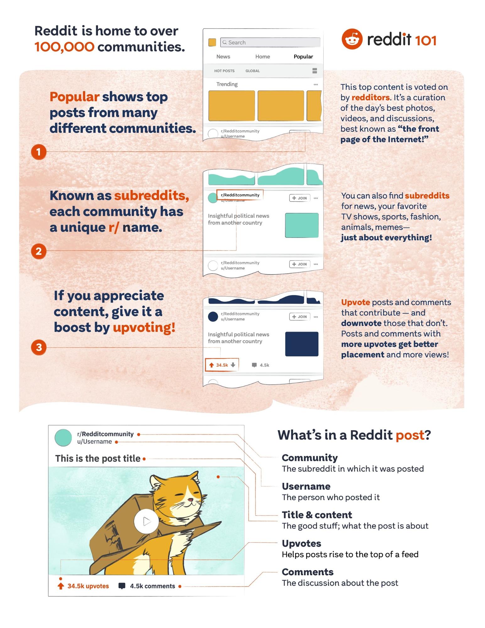 Reddit 101 Brand Guidelines Example
