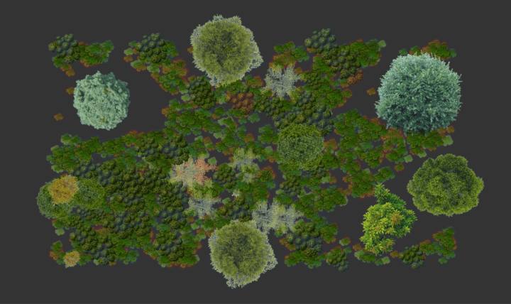 A video simulation of forest growth.