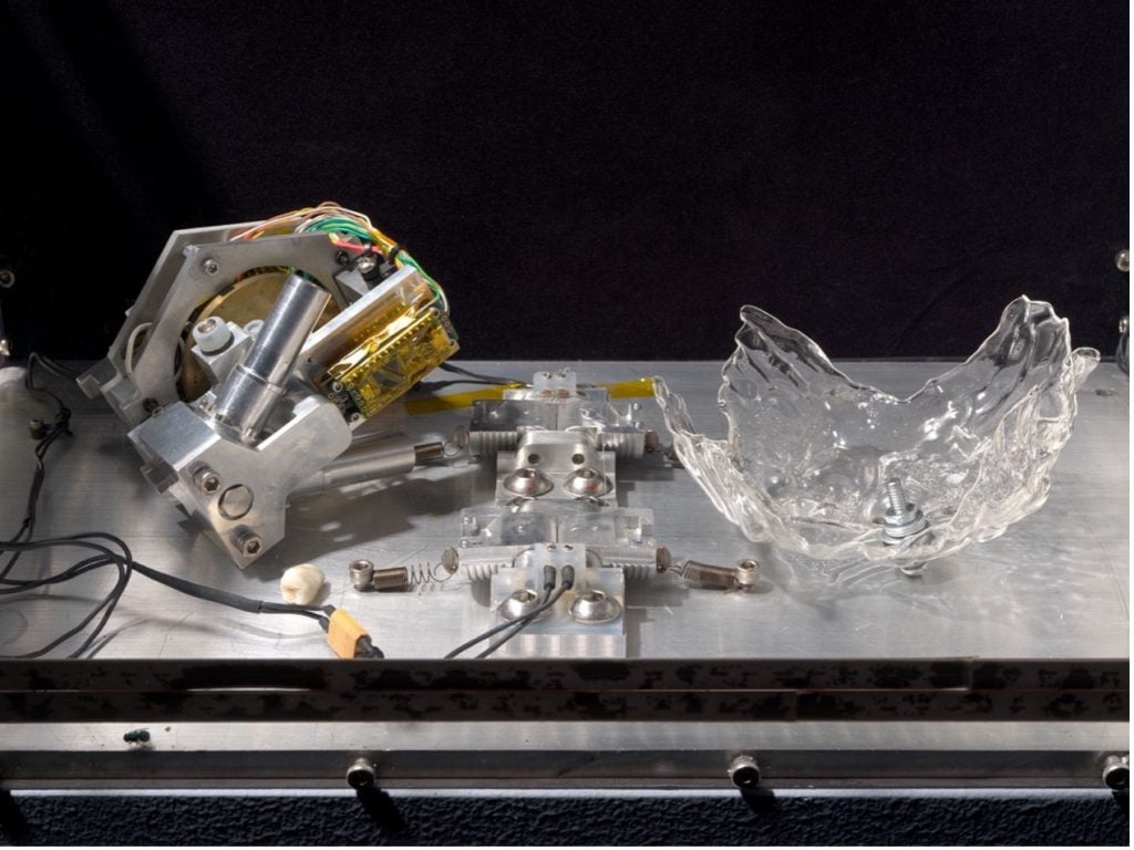 Xin Liu, Seedlings and Offsprings