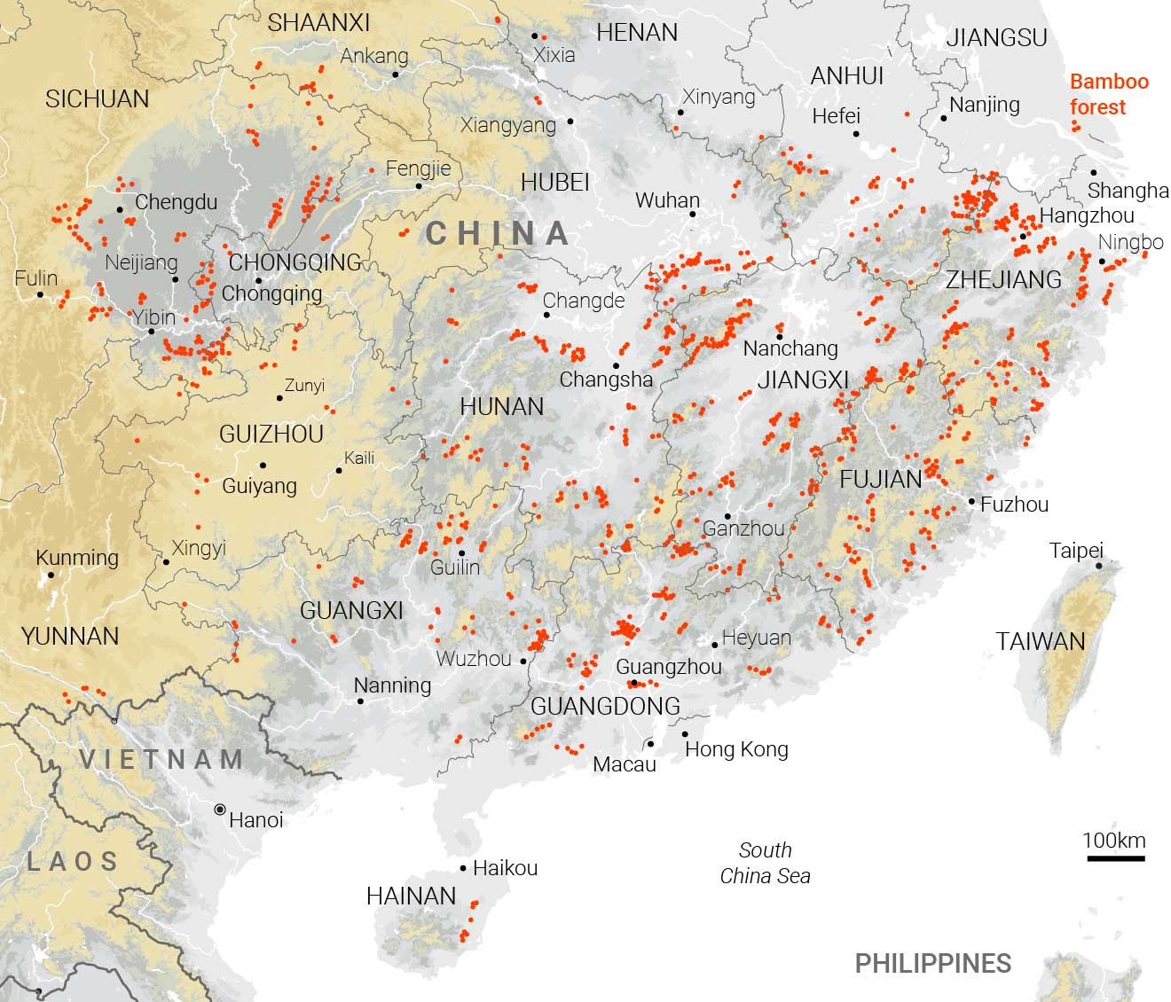 Why Hong Kong uses bamboo scaffolding, and meet the spider-men who climb it: a visual explainer