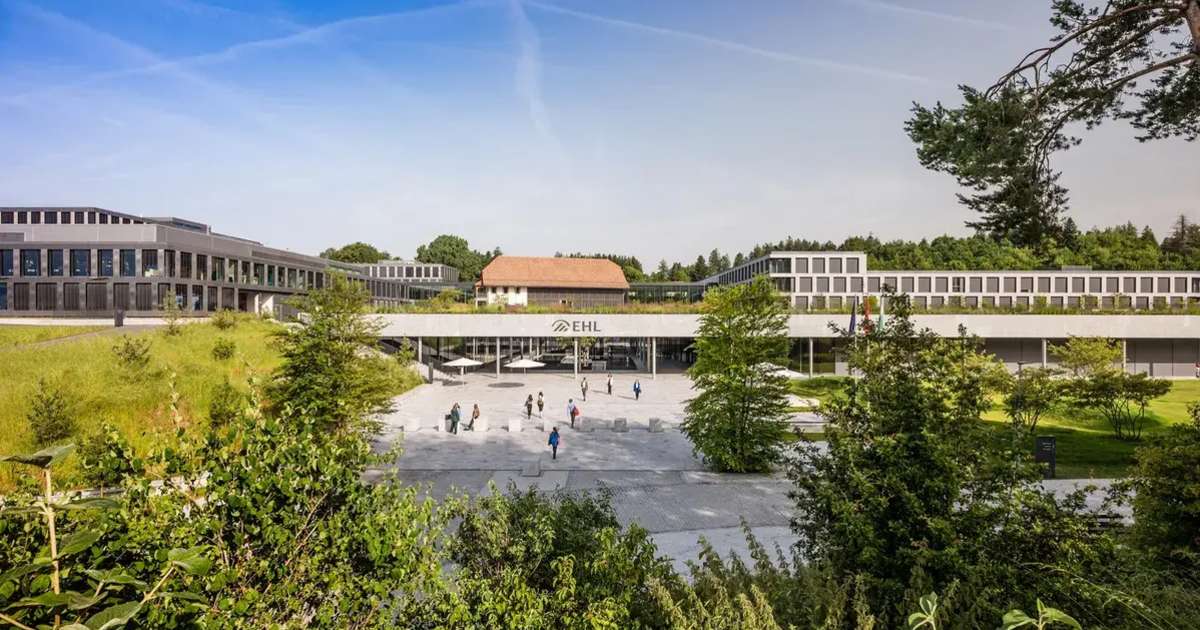 Open Innovation Through a Student’s Lens: Why Collaboration and Curiosity matter more than ever