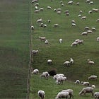 Mental Models for People Who Actually Want to Think